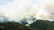 Υπό έλεγχο οι πυρκαγιές σε Γκιώνη-Φυτόκου στο Βόλο και στη Μαγούλα Καρδίτσας
