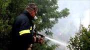 Υπό μερικό έλεγχο η πυρκαγιά στη Λάτιστα δήμου Πρεσπών