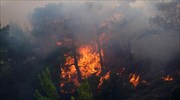 Δασική πυρκαγιά στην περιοχή Κουτσοχέρι Αιτωλοακαρνανίας