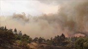 Δασική πυρκαγιά στα Μουζακαίικα Πρέβεζας