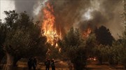 Πυρκαγιά στην περιοχή Μητρόπολη Καρδίτσας