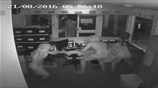 Αυστραλία: Άγνωστοι άφησαν ελεύθερους τρεις κροκόδειλους σε σχολείο