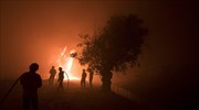 Δασική πυρκαγιά στην Πορτογαλία