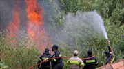 Καλλιέργειες και δασικές εκτάσεις έκαψε η πυρκαγιά στο Έλος Χανίων