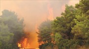 Ενισχύονται οι δυνάμεις της Πυροσβεστικής στη Ζάκυνθο