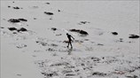 Αναζητώντας νομίσματα στον Γάγγη