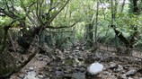 Βόλτα στη φύση
