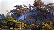 Πυρκαγιές σε δασικές εκτάσεις από κεραυνούς στη Θάσο