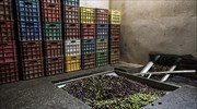 Μαγνησία: Τραγωδία με δύο νεκρούς και τρεις τραυματίες σε ελαιοτριβείο