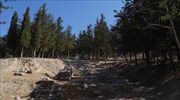 Κνωσός: Μια νέα πορεία επισκεπτών διαμορφώθηκε στον αρχαιολογικό χώρο