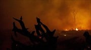 Οι πυρκαγιές στην Ινδονησία προκάλεσαν 100.000 πρόωρους θανάτους το 2015