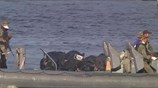 Αίγυπτος: Αυξάνεται ο αριθμός των νεκρών από το ναυάγιο του αλιευτικού