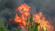 Συνολικά 74 πυρκαγιές το τελευταίο 24ωρο στην Ελλάδα
