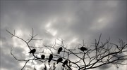 Αλλαγή του καιρού από το απόγευμα της Κυριακής