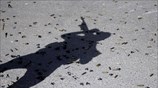 Ιράκ: Συνεχίζονται οι προσπάθειες για την ανακατάληψη της Μοσούλης