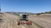 Crop damages in Greece for Jan-Sept calculated at 135 mln€