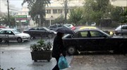 Αττική: 80 κλήσεις για κοπές δένδρων και αφαιρέσεις αντικειμένων