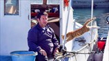 Ένας απρόσκλητος επισκέπτης!