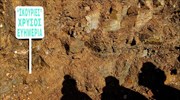 Skouries gold mine project clears bureaucratic hurdle