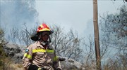 Κέρκυρα: Σύλληψη 29χρονου για πέντε περιπτώσεις εμπρησμού