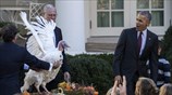 ΗΠΑ: Ο Ομπάμα έδωσε χάρη σε μια γαλοπούλα για τη γιορτή των Ευχαριστιών
