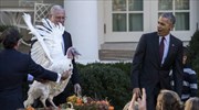 ΗΠΑ: Ο Ομπάμα έδωσε χάρη σε μια γαλοπούλα για τη γιορτή των Ευχαριστιών