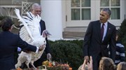 Ημέρα των Ευχαριστιών: Απένειμε χάρη σε γαλοπούλα ο Ομπάμα