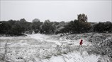 Έπεσαν τα πρώτα χιόνια στη Θεσσαλονίκη