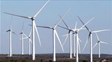 Αντιδρούν περιβαλλοντολόγοι και ακτιβιστές για τη νέα ευρωπαϊκή νομοθεσία για την ενέργεια
