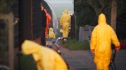 Γρίπη των πτηνών σε πουλερικά στη νότια Ουκρανία