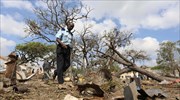 Σομαλία: 29 νεκροί από έκρηξη παγιδευμένου οχήματος