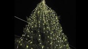 Ρώμη: Παράπονα για το χριστουγεννιάτικο δέντρο της πόλης