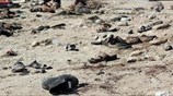 Το ΙΚΙΛ πίσω από την αιματηρή επίθεση αυτοκτονίας στην πόλη Άντεν