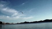 Drone - «θαλασσοπούλι» που μπορεί να βουτά από τον αέρα στο νερό
