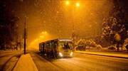 Αττική: 46 κλήσεις στην Πυροσβεστική για κοπές δέντρων και αφαιρέσεις αντικειμένων