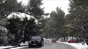 Διακοπή κυκλοφορίας στην επαρχιακή οδό Αλεποχωρίου