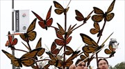 Καλιφόρνια: Παρέλαση των ρόδων για το νέο έτος
