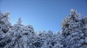 Στα λευκά η δυτική Μακεδονία