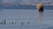 Πολικές θερμοκρασίες στη βόρεια Ελλάδα