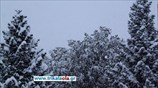 Σφοδρή χιονόπτωση στα Τρίκαλα