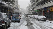 Φθιώτιδα: Τις πληγές από τον χιονιά μετρούν οι κάτοικοι