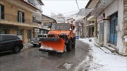 Εκχιονισμός των εμπορικών κέντρων σε Γρεβενά και Φλώρινα