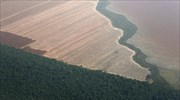 Νορβηγία: 400 εκ. δολ. για την προστασία του Αμαζονίου από την γεωργική ανάπτυξη