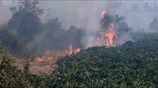 Στο έλεος των πυρκαγιών η Χιλή