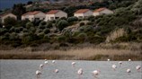 Ένα καταφύγιο για το χειμώνα