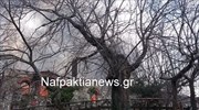 Πυρκαγιά στη Μονή Παναγίας Βαρνάκοβας