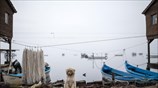 Φωτογραφίες από το Δέλτα του Αξιού ποταμού