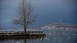 Χειμωνιάτικο σκηνικό στη λίμνη των Ιωαννίνων 