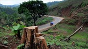Η αποψίλωση των δασών επιδεινώνεται με την αύξηση του εισοδήματος στις αναπτυσσόμενες οικονομίες