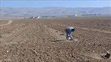 Καταστροφή για τους αγρότες της Νινευή άφησε πίσω του το Ισλαμικό Κράτος